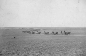 wagon train northwest 1885